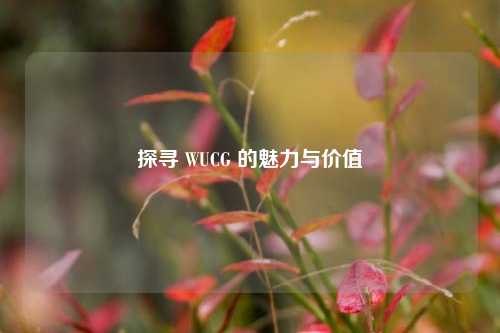 探寻 WUCG 的魅力与价值