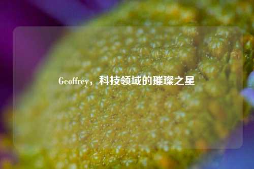 Geoffrey，科技领域的璀璨之星