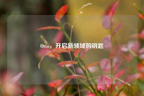 Otto,开启新领域的钥匙