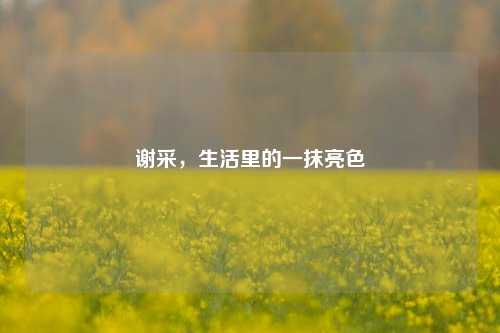 谢采,生活里的一抹亮色