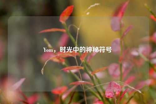 Yom，时光中的神秘符号
