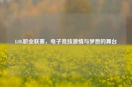 LOL职业联赛，电子竞技激情与梦想的舞台