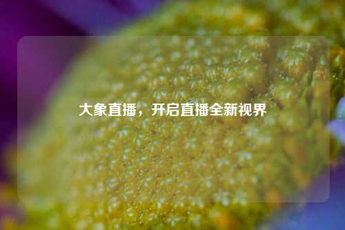 大象直播，开启直播全新视界