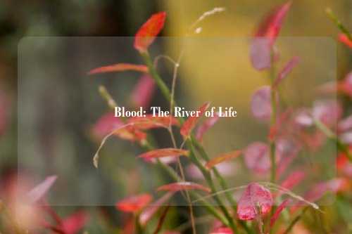 Blood: The River of Life