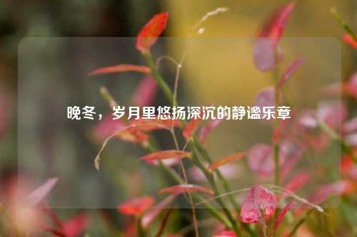 晚冬，岁月里悠扬深沉的静谧乐章