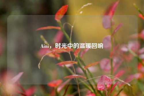 Aini，时光中的温暖回响