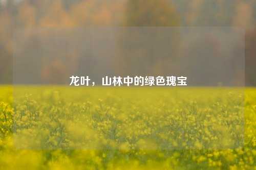 龙叶，山林中的绿色瑰宝