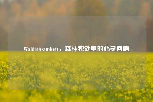 Waldeinsamkeit,森林独处里的心灵回响