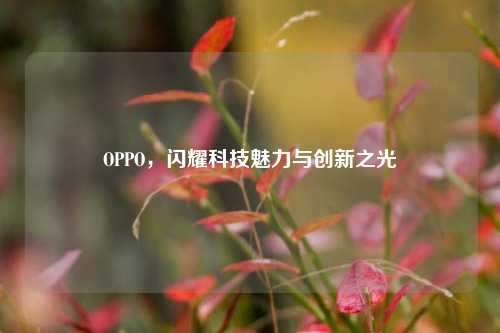 OPPO,闪耀科技魅力与创新之光